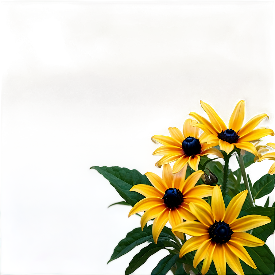 Black Eyed Susan Bouquet Png Hmn36