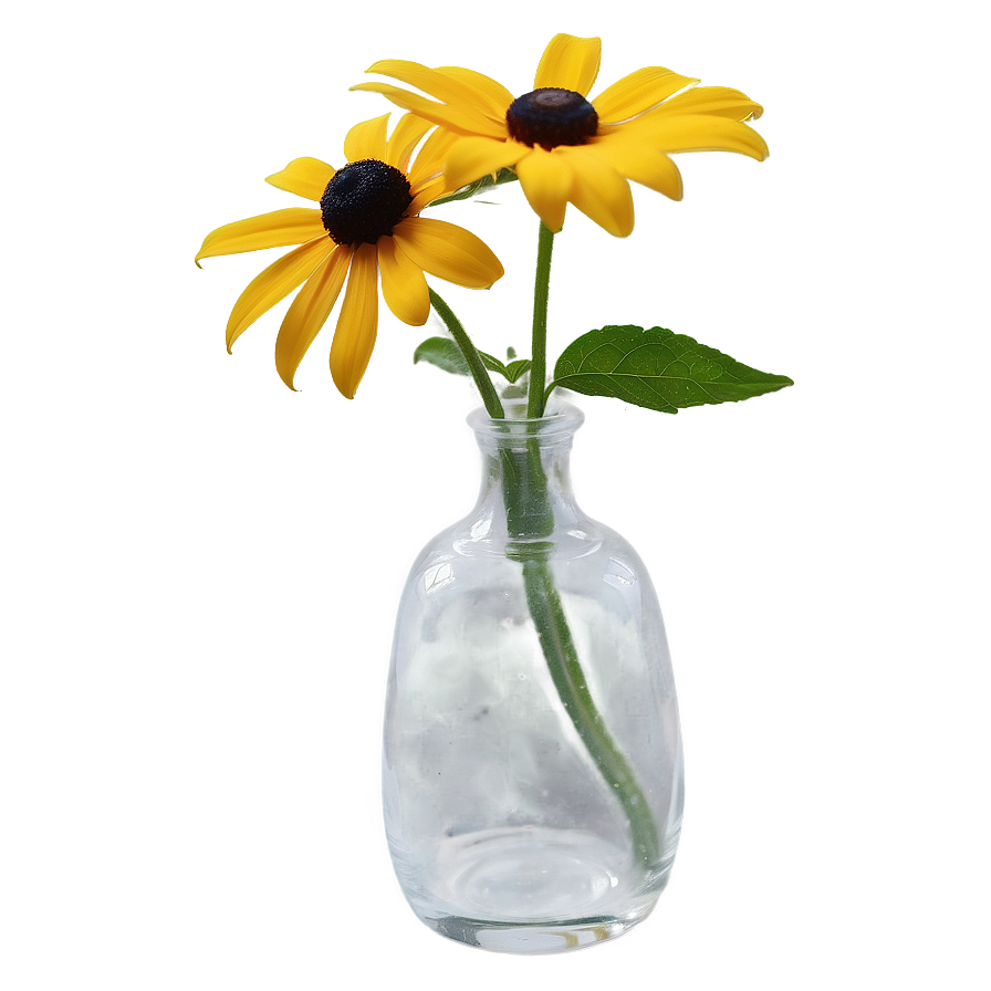 Black Eyed Susan In Vase Png 15