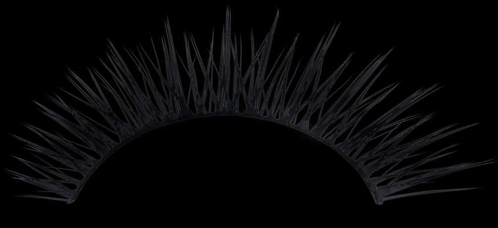 Black Fake Eyelashes Dark Background