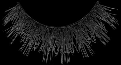 Black Fake Eyelashes Isolated