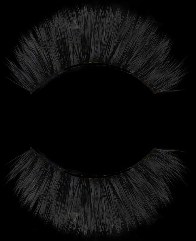La La Lashes - Eyelash Extensions, HD Png Download PNG with transparent background
