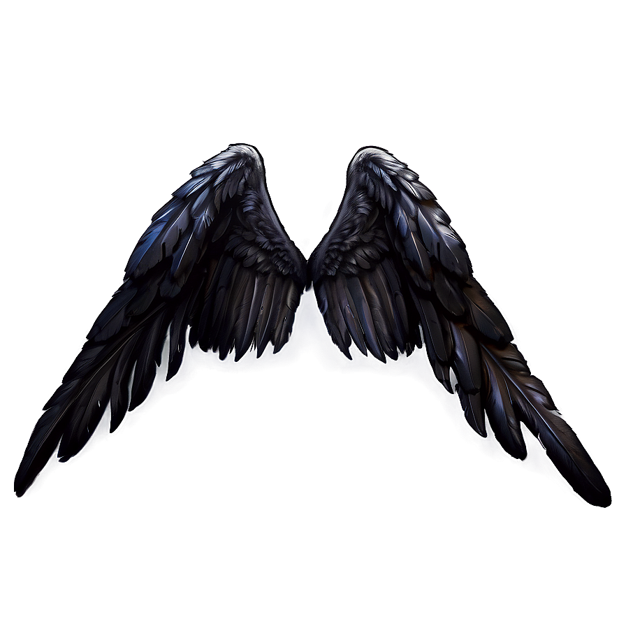 Black Feather Angel Wings PNG xcn1 PNG with transparent background