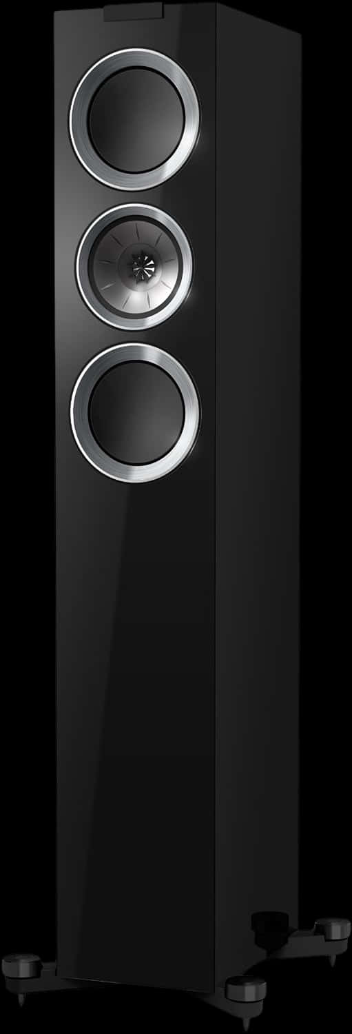 Black Floorstanding Speaker Design