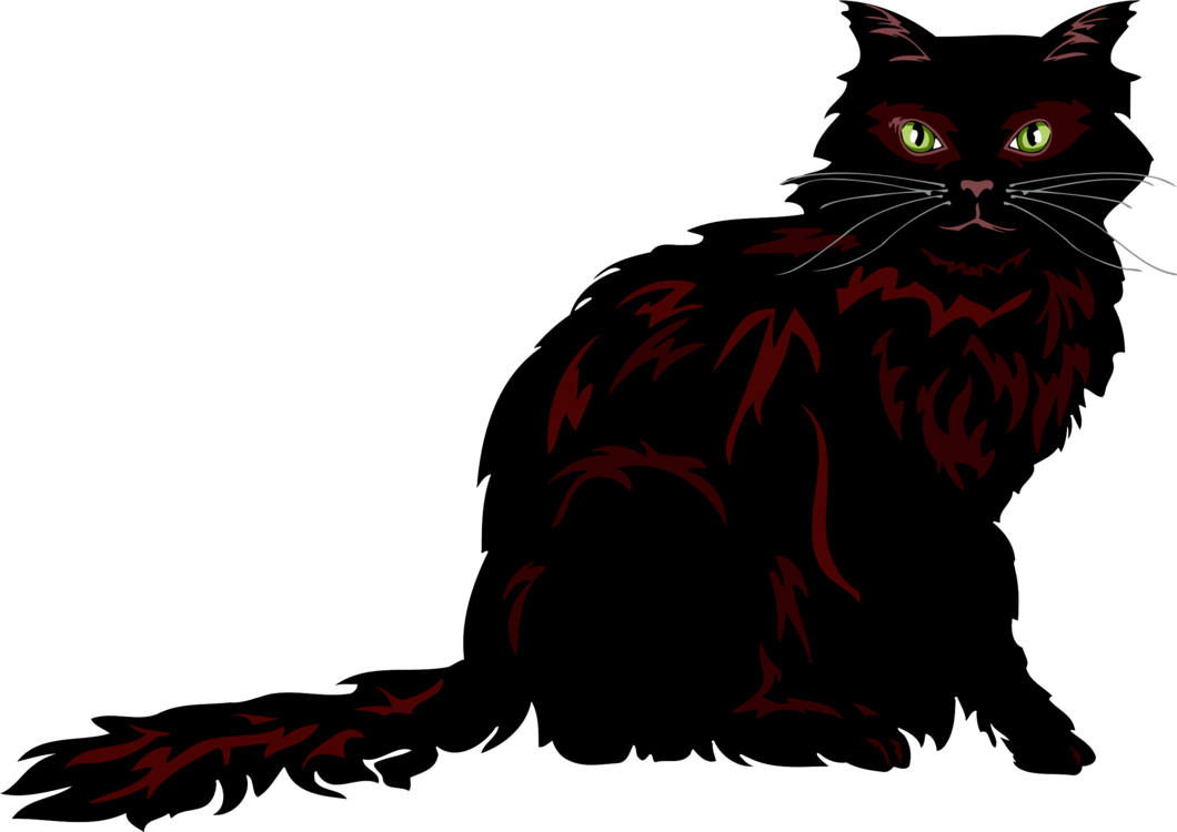 Black Fluffy Cat Illustration