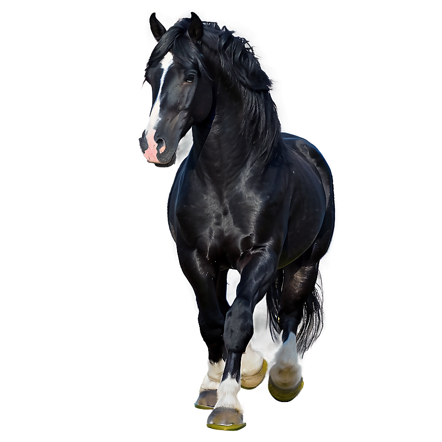 Black Friesian Horse Png Ura97