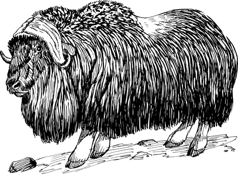 Black Goat Silhouette.jpg PNG with transparent background