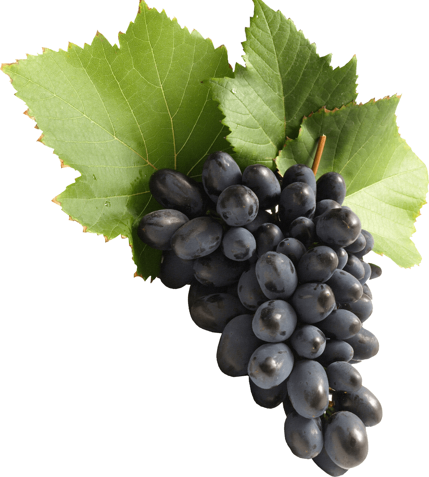 Grapes Png, Transparent Png PNG with transparent background