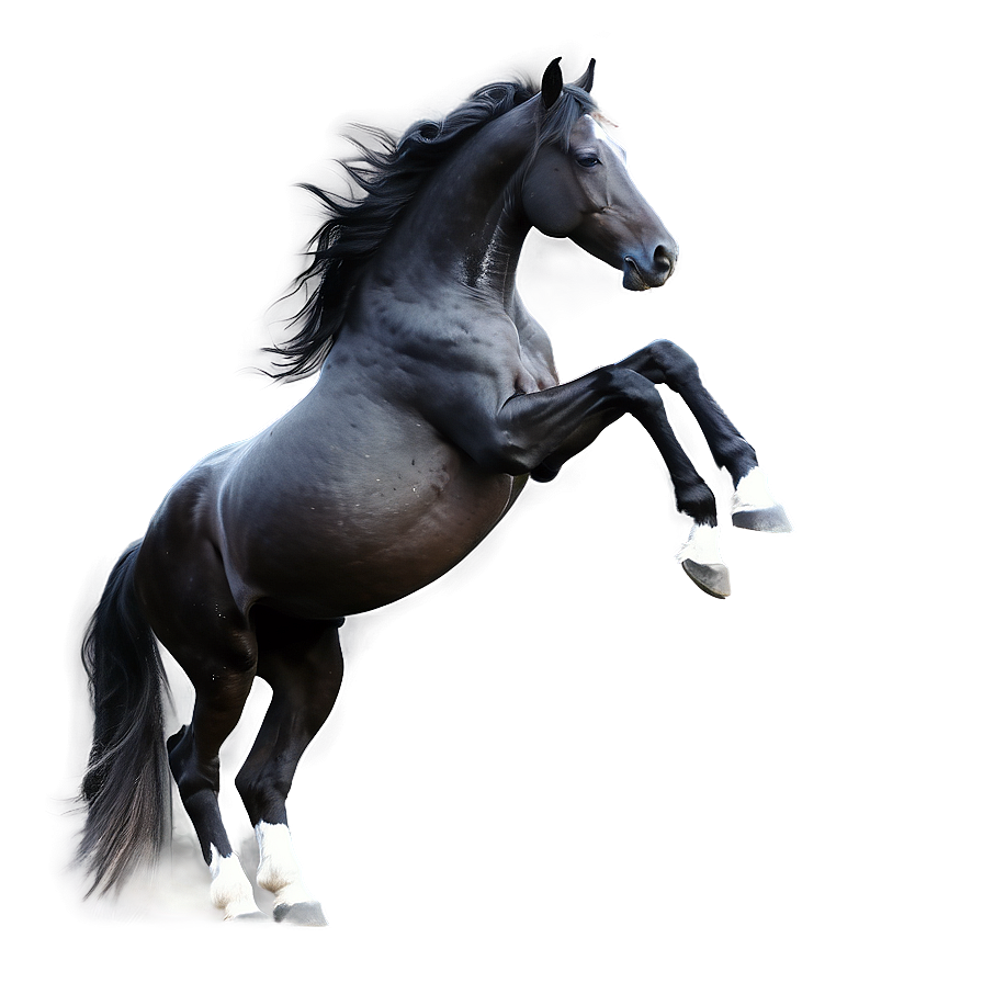 Black Horse Digital Artwork Png 96