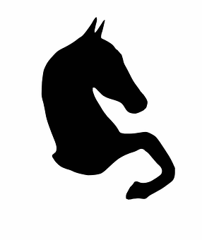 Black Horse Silhouette Graphic PNG with transparent background