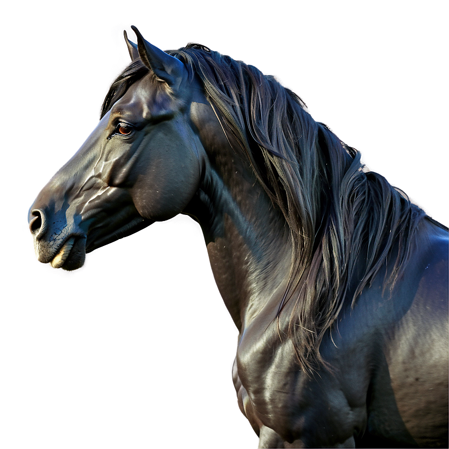 Black Horse With Flowing Mane Png 78