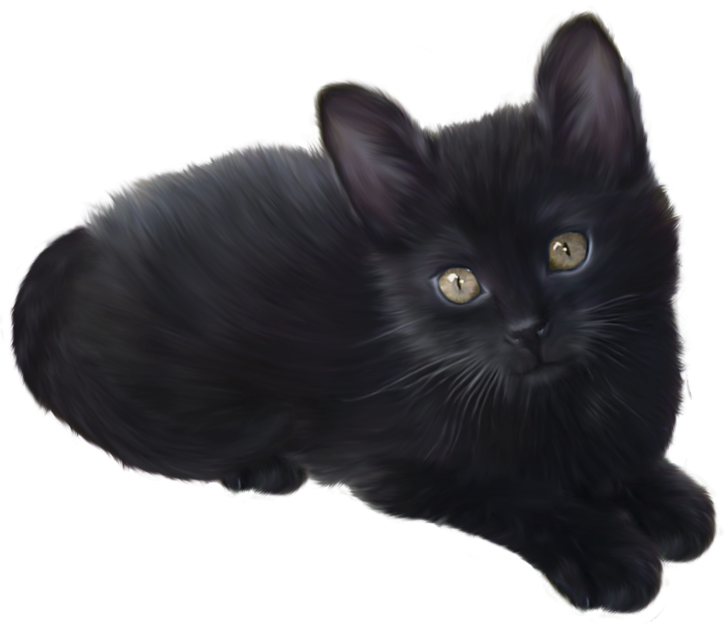 Black Kitten Gazing Image