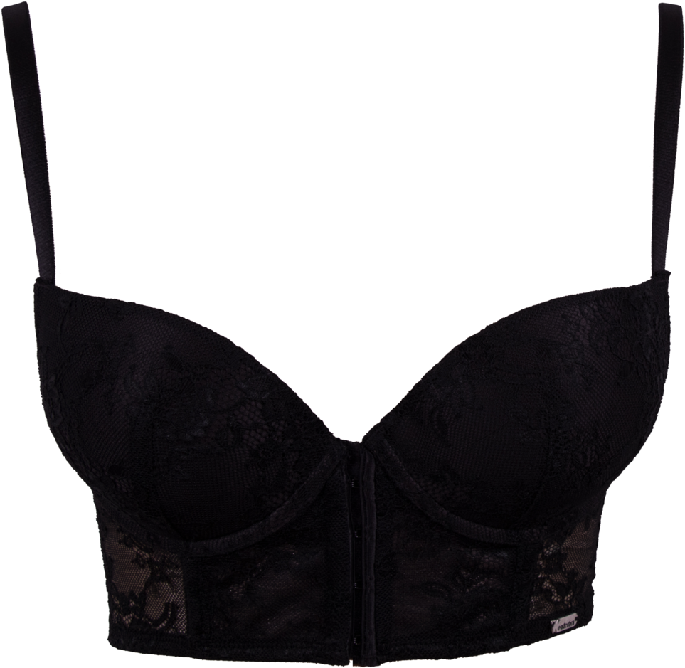 Black Lace Bra Product Photo