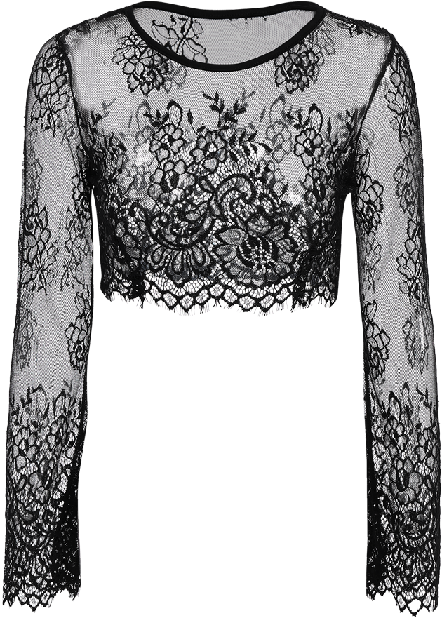 Black Lace Long Sleeve See-through Crop Top $14, HD Png Download PNG with transparent background