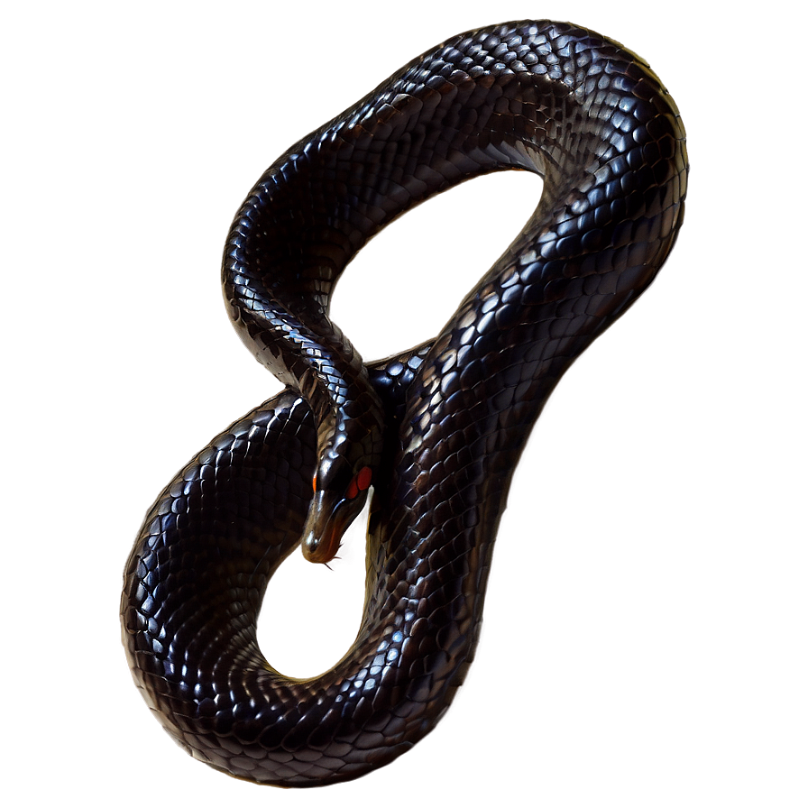 Black Mamba Snake PNG 44 PNG with transparent background