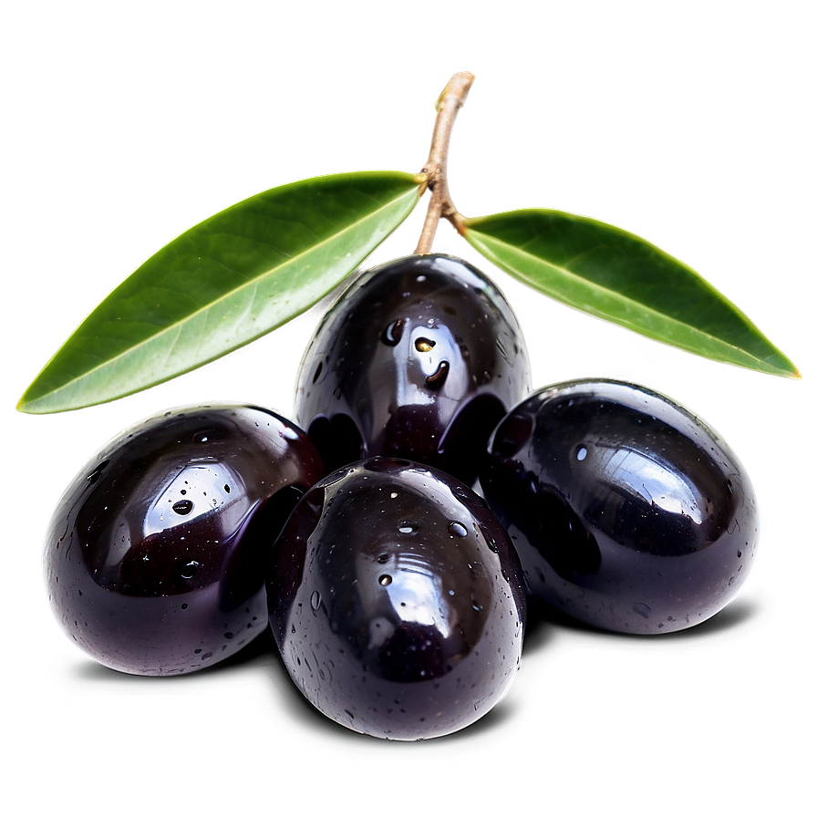 Black Olives On Branch Png Dos28