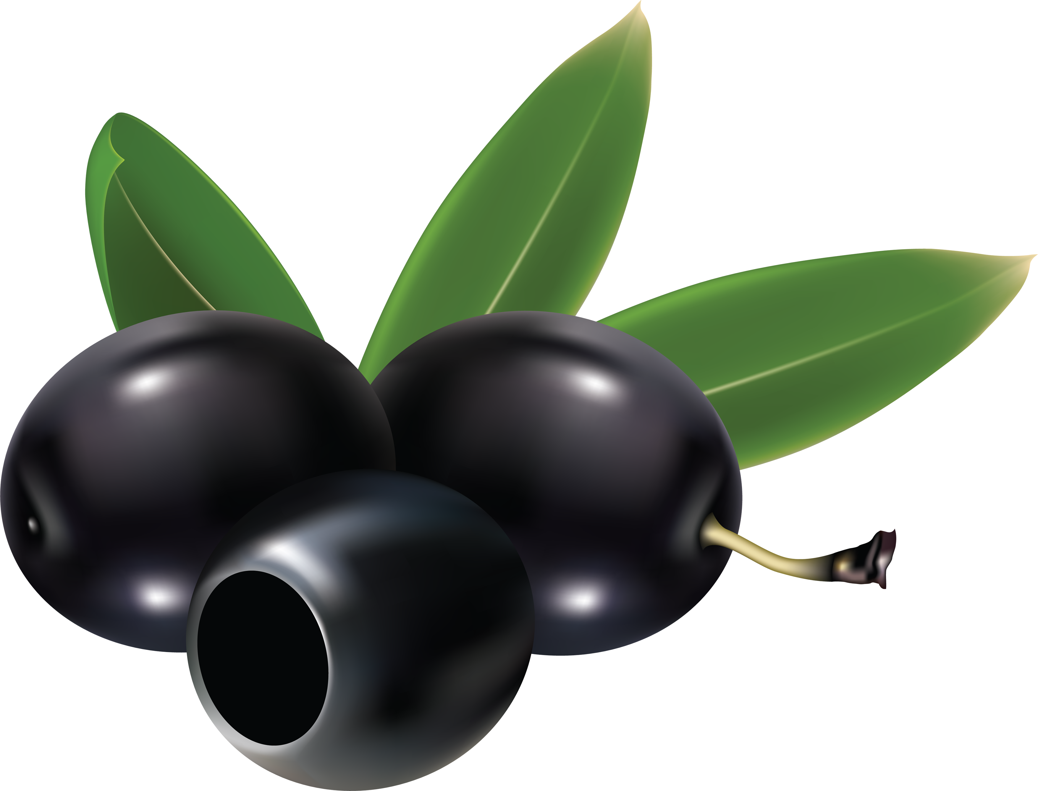 Black Olives Png , Png Download - Black Olives Clip Art, Transparent Png PNG with transparent background