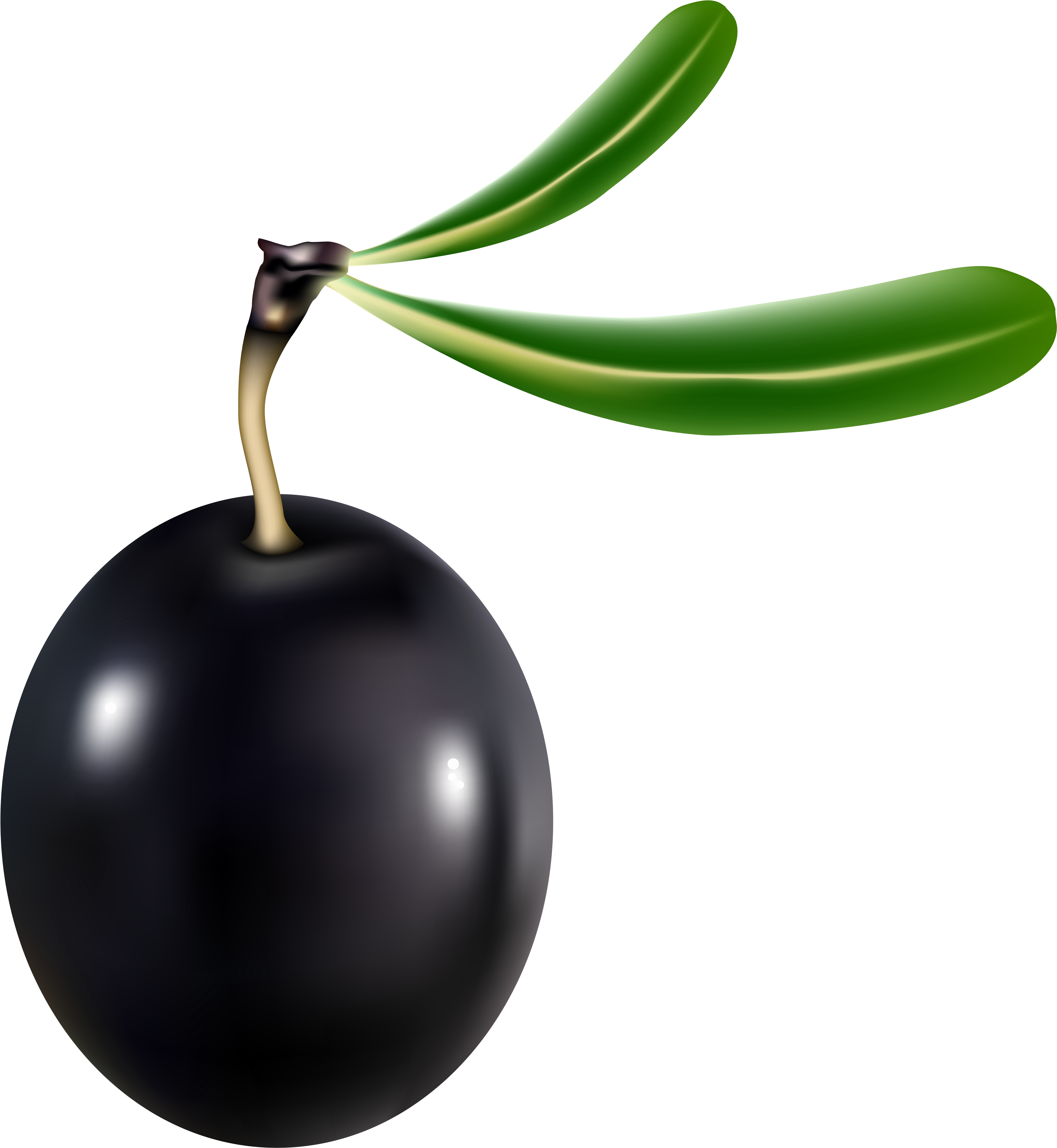Black Olive Transparent Clipart , Png Download - Black Olive Png, Png Download PNG with transparent background