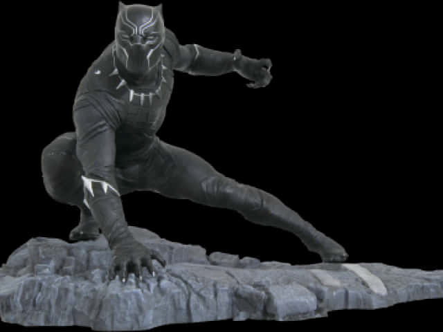 Black Panther Action Pose