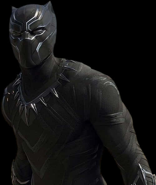 Black Panther Costume Portrait