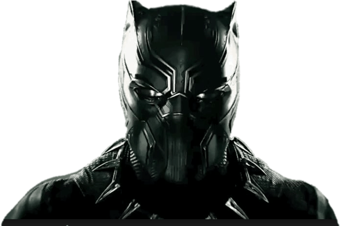 Black Panther Costume Portrait