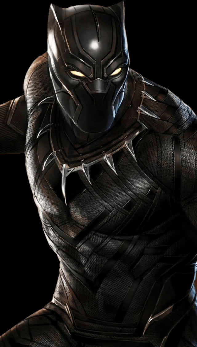 Black Panther Costume Portrait