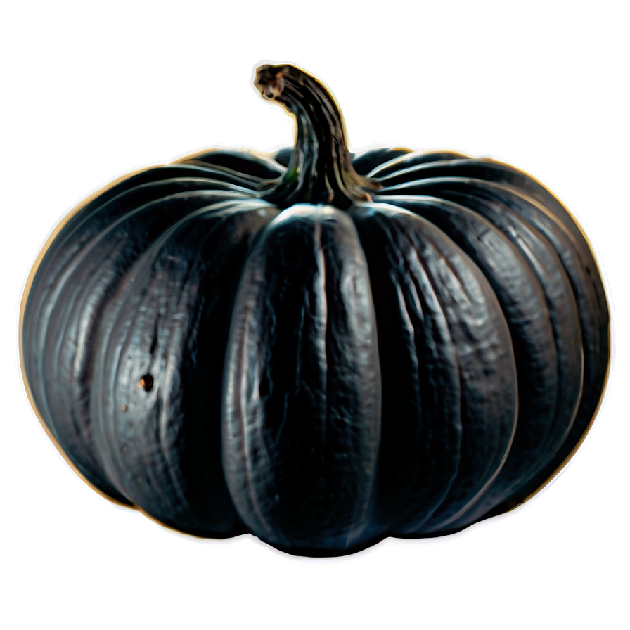 Black Pumpkin D