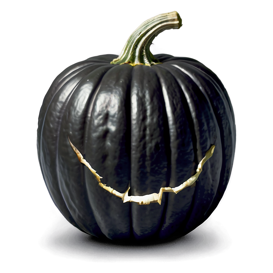 Black Pumpkin In Field Png 12