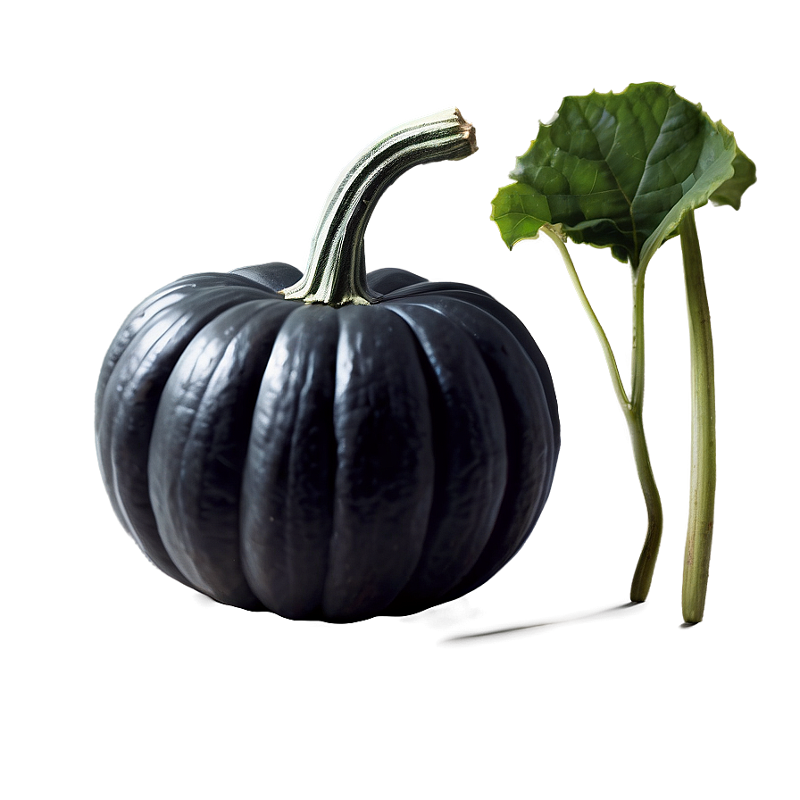 Black Pumpkin In Field Png 88