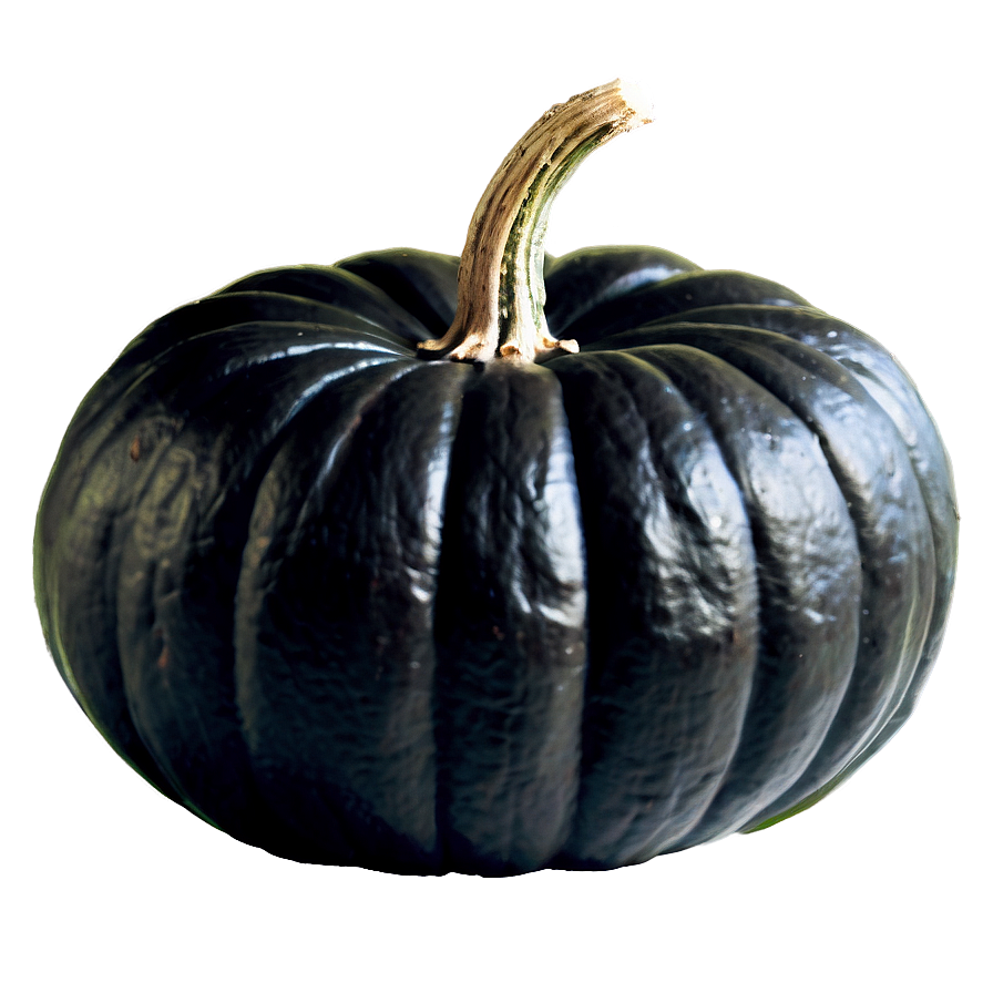 Black Pumpkin On Hay Png Egq99