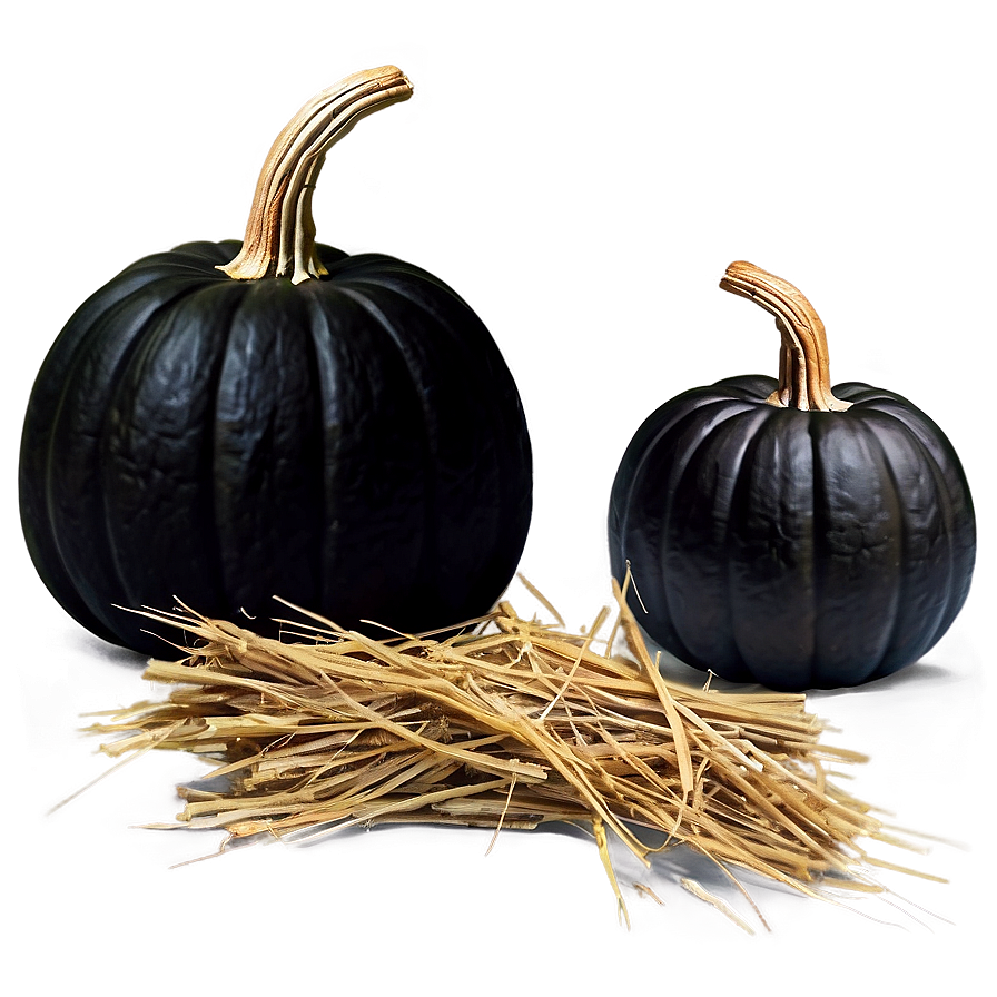 Black Pumpkin On Hay Png Qmd