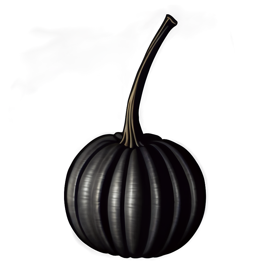 Black Pumpkin Patch Png 06282024