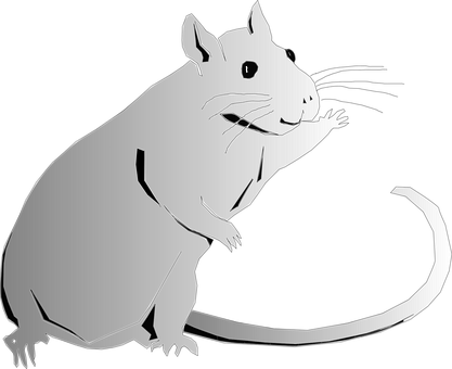 Black Rat Silhouette