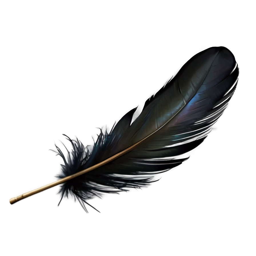 Black Raven Feather PNG 49 PNG with transparent background