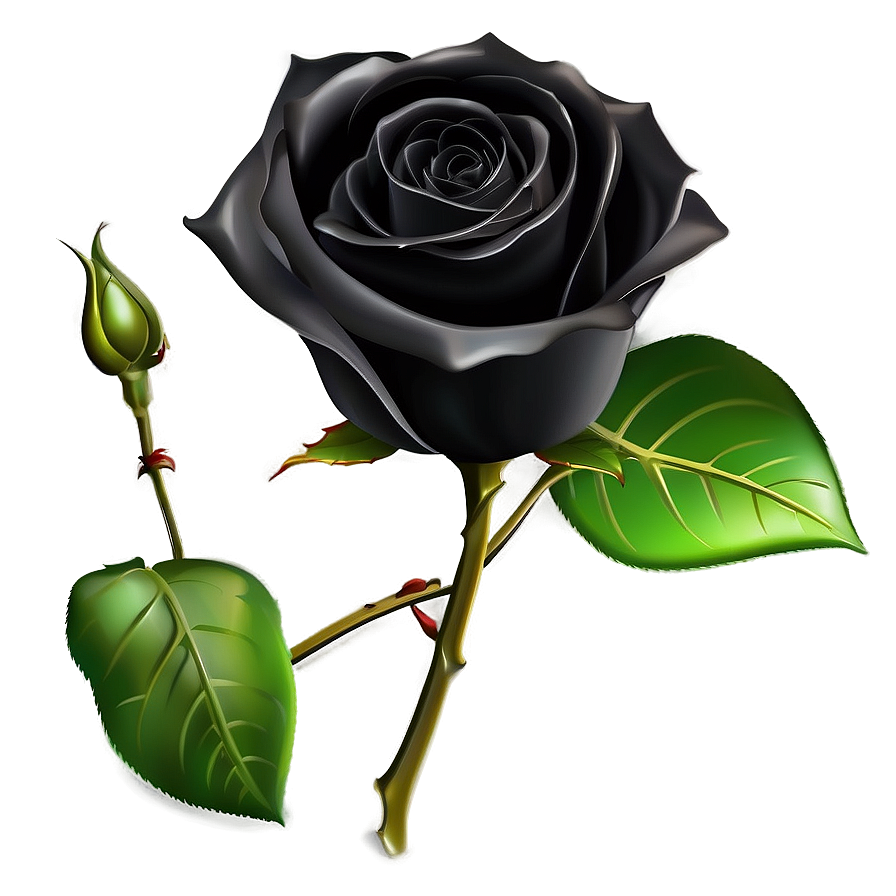 Black Roses Invitation Png Pca10