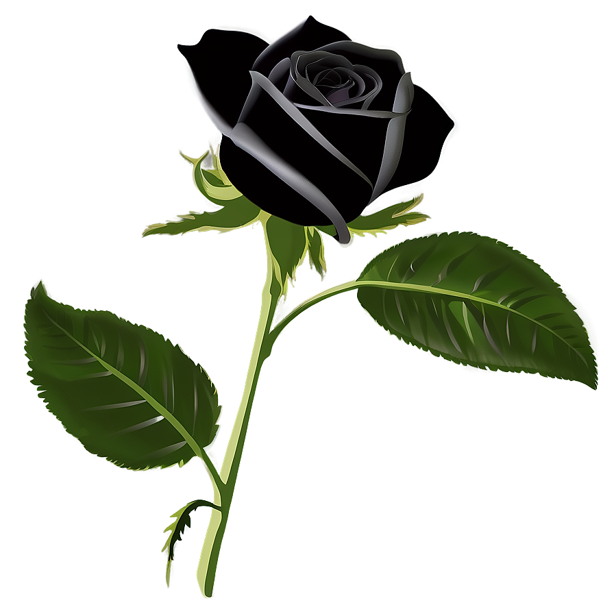 Black Roses Silhouette Png 06212024