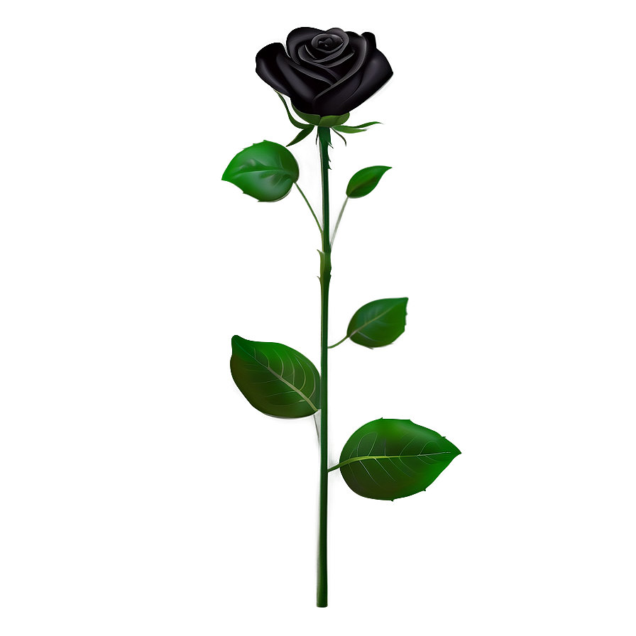 Black Roses Symbol Png 8