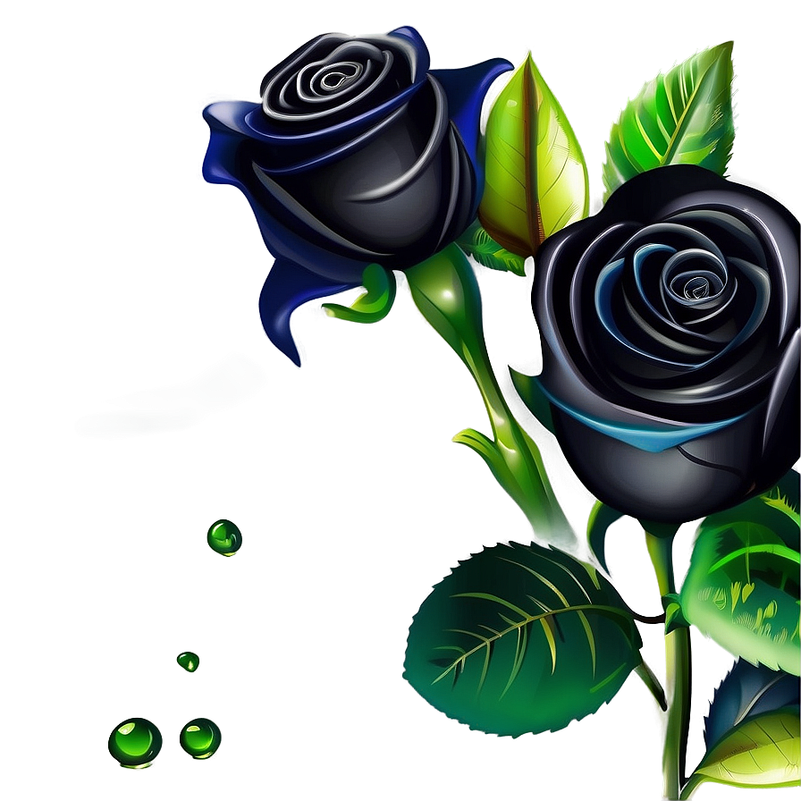 Black Roses Vector Png 06212024