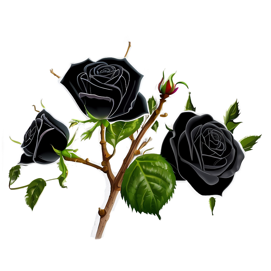 Black Roses With Thorns Png Fgd93