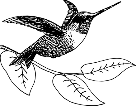 Black Screen Blank Canvas PNG with transparent background