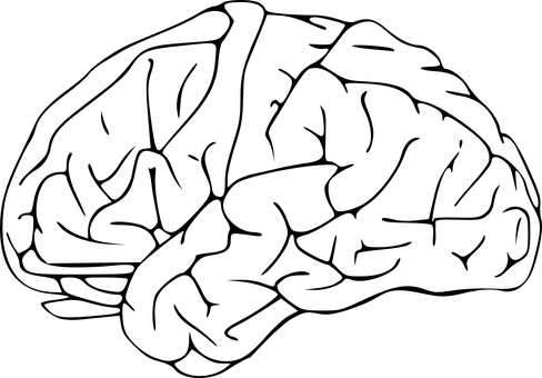 Black Screen Blank Canvas PNG with transparent background