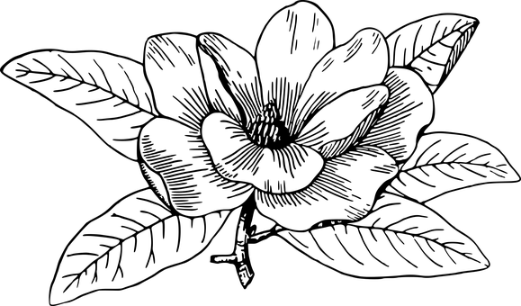 Black Screen Empty Canvas PNG with transparent background