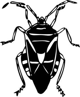 Black Screen No Content PNG with transparent background
