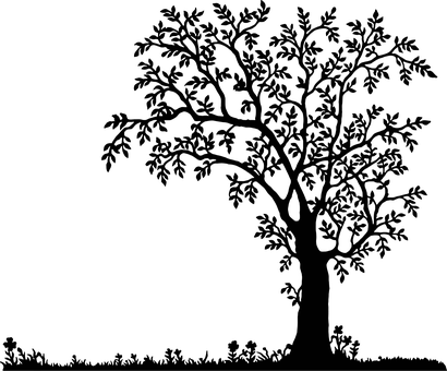 Black Screen No Content