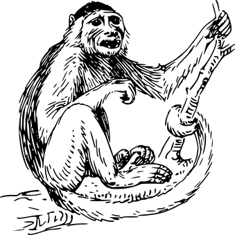 Black Screen No Content PNG with transparent background