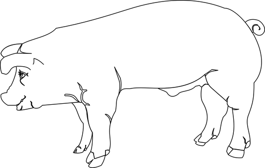 Black Screen No Content PNG with transparent background
