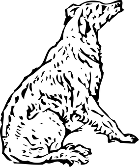 Black Screen No Image PNG with transparent background