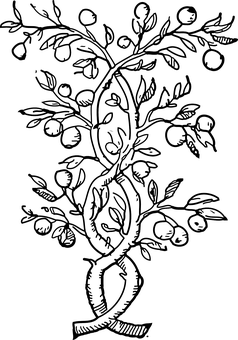 Black Screen Placeholder PNG with transparent background