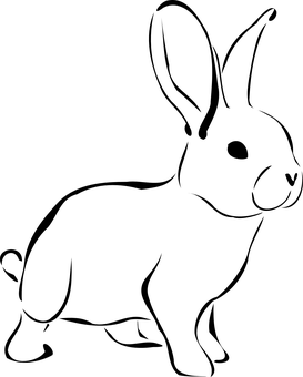 Black Screen Placeholder.jpg PNG with transparent background