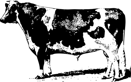 Black Screen Placeholder.jpg PNG with transparent background