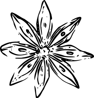 Black Screen Texture PNG with transparent background